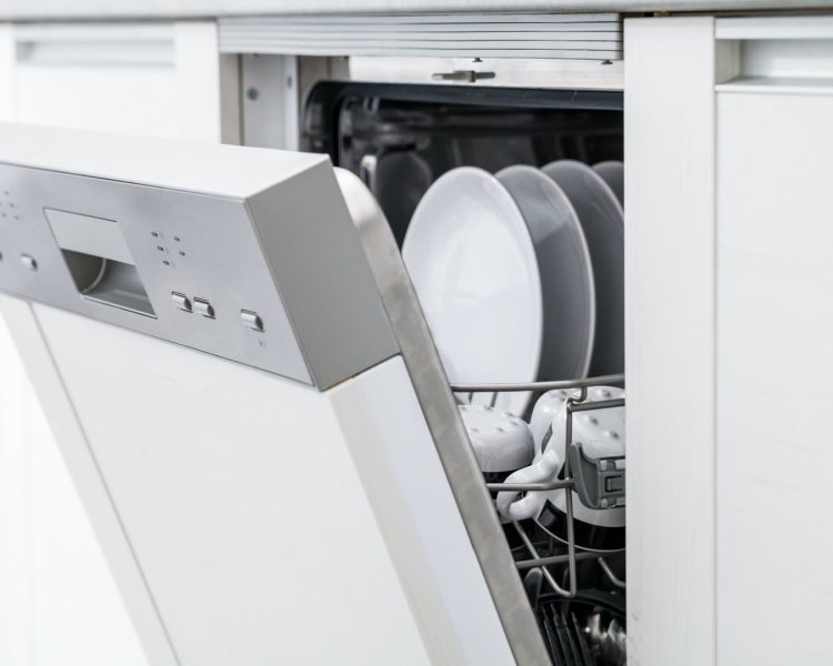 Dishwasher Control Panels
